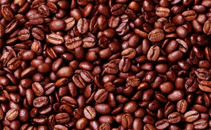 Coffee beans : Il chicco.com!