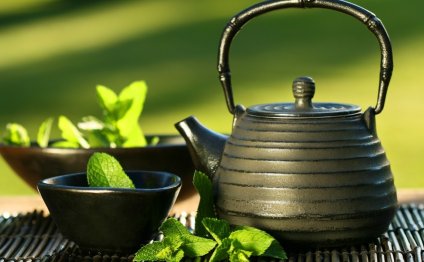 Green tea weight loss