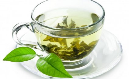 Green tea, glass cup