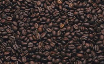 Coffee Bean and Tea Leaf Nutrition