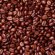 Costa coffee beans