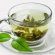 Green tea extract weight loss