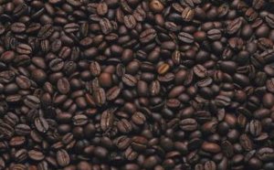 Coffee Bean and Tea Leaf Nutrition