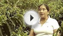 Colombian Coffee Stories: Women and Coffee - Historias