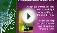 Green Tea Extract: Advantages of green tea extracts