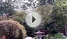 Japanese Serenity Garden, Bethlehem Library - LVBO Travel