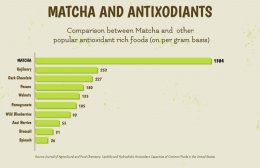 MatchaAntioxidants