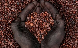 Brief history of Coffee