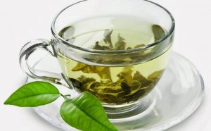 Green tea extract weight loss