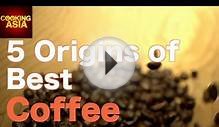 5 Best Coffee Beans And Their Origins | Cooking Asia