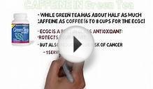 How much caffeine in green tea - Consider Pure Green Tea